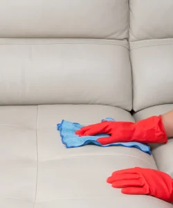 Pleno.gr - katharistika 10